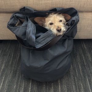 Meet your Posher, Brandon